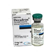 WhatsApp Image 2025-08-07 at 12.41.58 PM